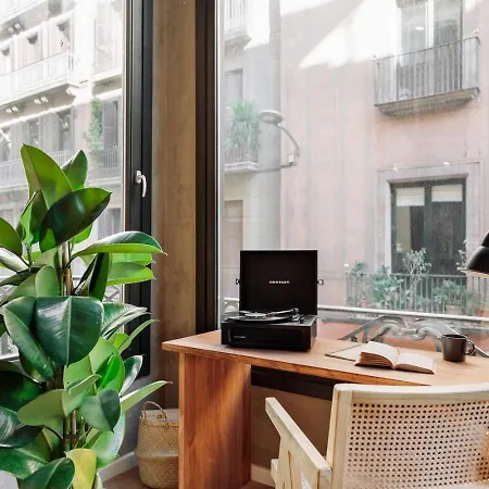 Apartamento Baronissi - 2 Bedrooms And Terrace In Ciutat Vella
